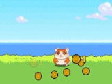 Hamster Kombat Clicker